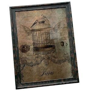 Retro Shabby Chic Metal Parisian Birdcage Framed Wall Art Home Decor